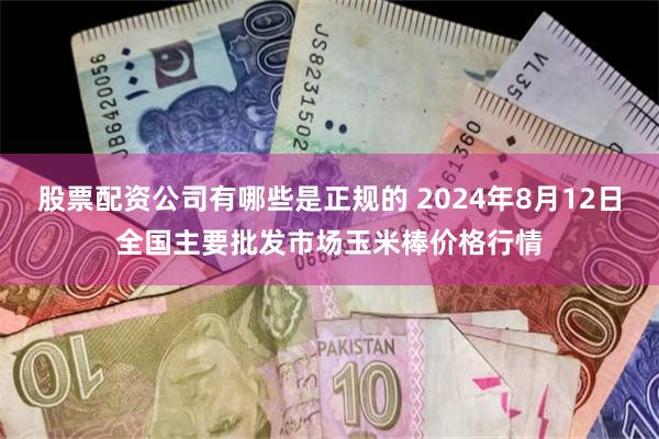 股票配资公司有哪些是正规的 2024年8月12日全国主要批发市场玉米棒价格行情
