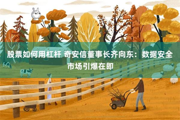 股票如何用杠杆 奇安信董事长齐向东：数据安全市场引爆在即