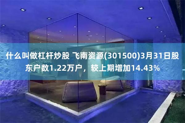 什么叫做杠杆炒股 飞南资源(301500)3月31日股东户数1.22万户，较上期增加14.43%