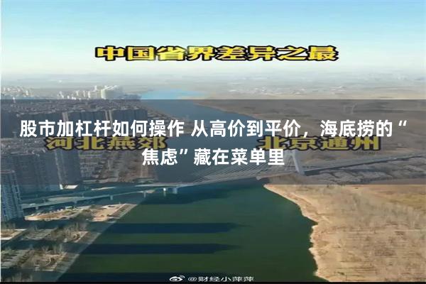 股市加杠杆如何操作 从高价到平价，海底捞的“焦虑”藏在菜单里