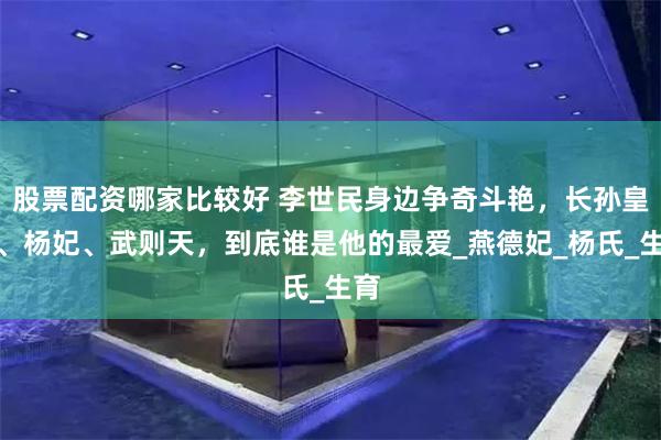 股票配资哪家比较好 李世民身边争奇斗艳，长孙皇后、杨妃、武则天，到底谁是他的最爱_燕德妃_杨氏_生育