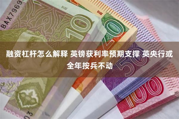 融资杠杆怎么解释 英镑获利率预期支撑 英央行或全年按兵不动