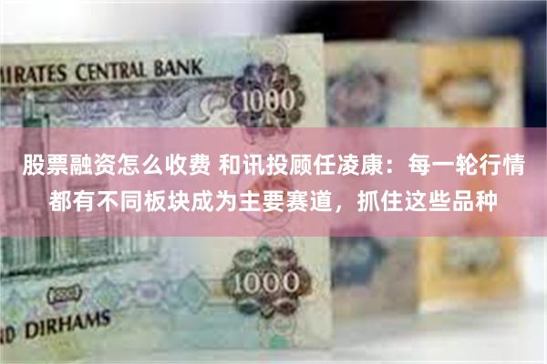 股票融资怎么收费 和讯投顾任凌康：每一轮行情都有不同板块成为主要赛道，抓住这些品种