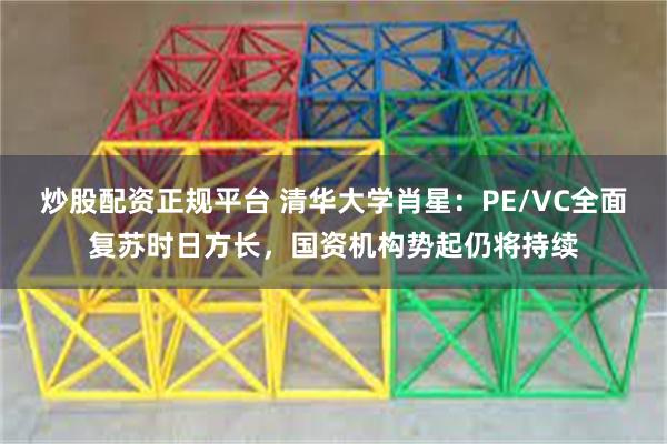 炒股配资正规平台 清华大学肖星：PE/VC全面复苏时日方长，国资机构势起仍将持续